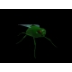 Зеленая муха