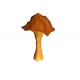 Grib, Beautiful model Mushroom