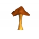 Grib, Beautiful model Mushroom